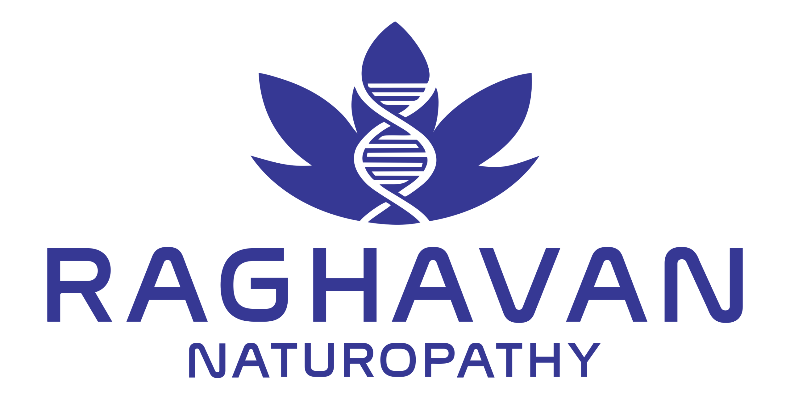 Raghavan Naturopathy Patna